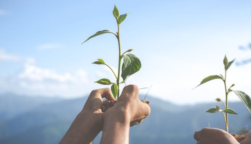 ASN Minas Gerais - Agência Sebrae de Notícias
