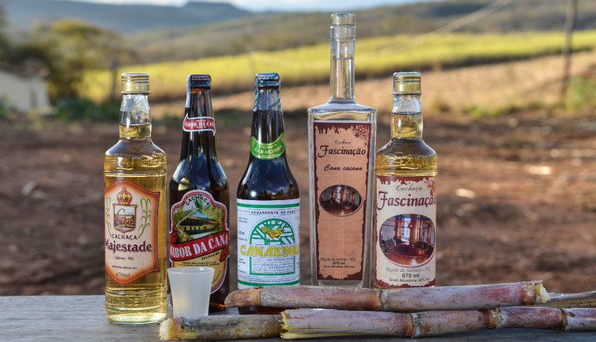 ASN Minas Gerais - Agência Sebrae de Notícias