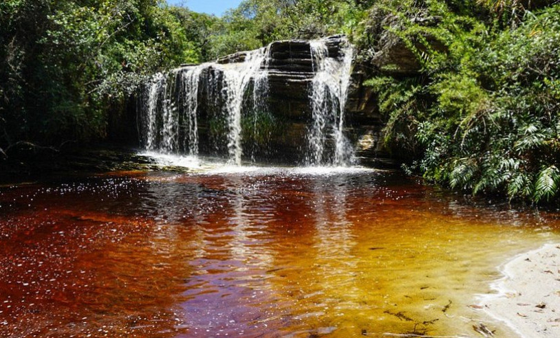 ASN Minas Gerais - Agência Sebrae de Notícias
