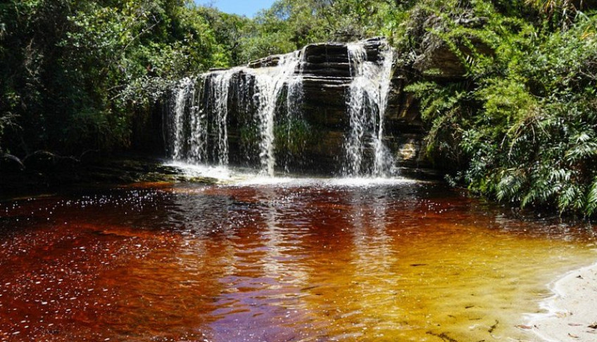 ASN Minas Gerais - Agência Sebrae de Notícias