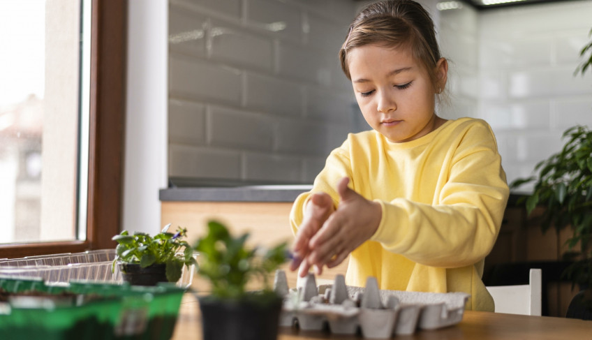ASN Minas Gerais - Agência Sebrae de Notícias