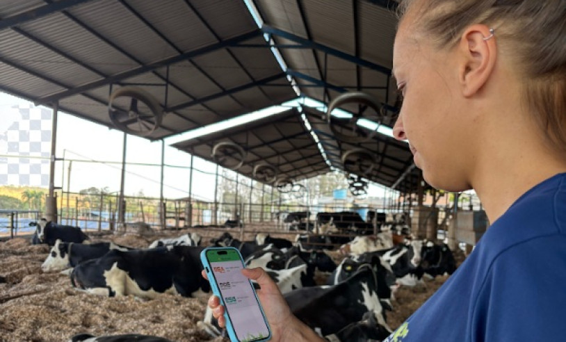 ASN Minas Gerais - Agência Sebrae de Notícias