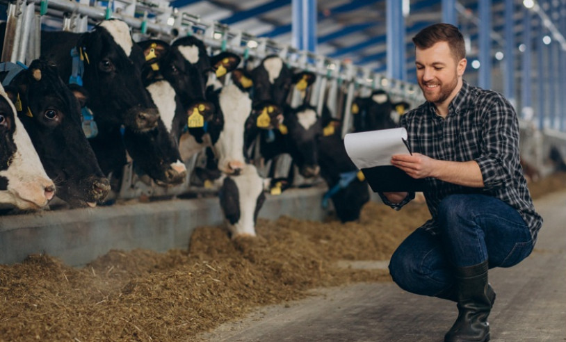ASN Minas Gerais - Agência Sebrae de Notícias