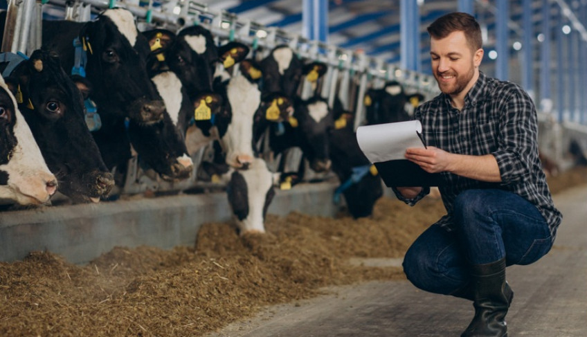ASN Minas Gerais - Agência Sebrae de Notícias