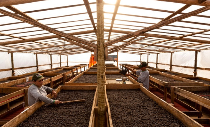 ASN Minas Gerais - Agência Sebrae de Notícias