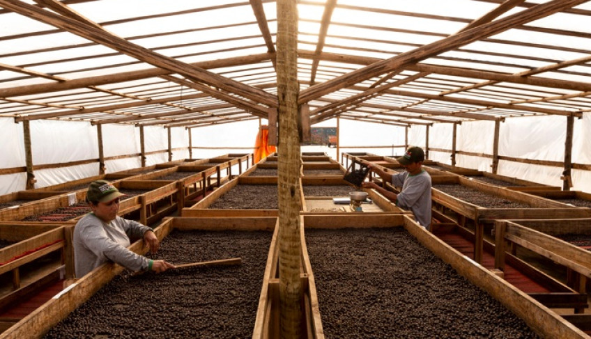 ASN Minas Gerais - Agência Sebrae de Notícias