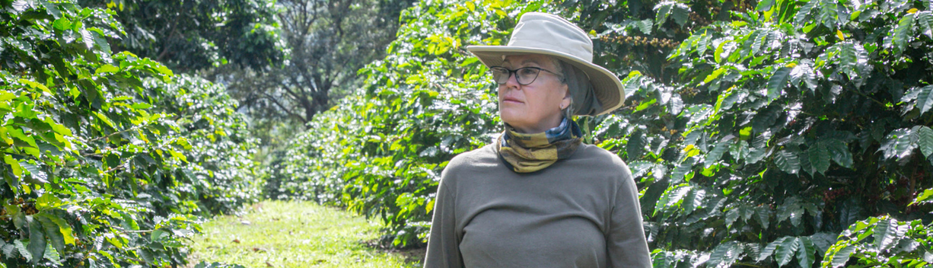 ASN Minas Gerais - Agência Sebrae de Notícias