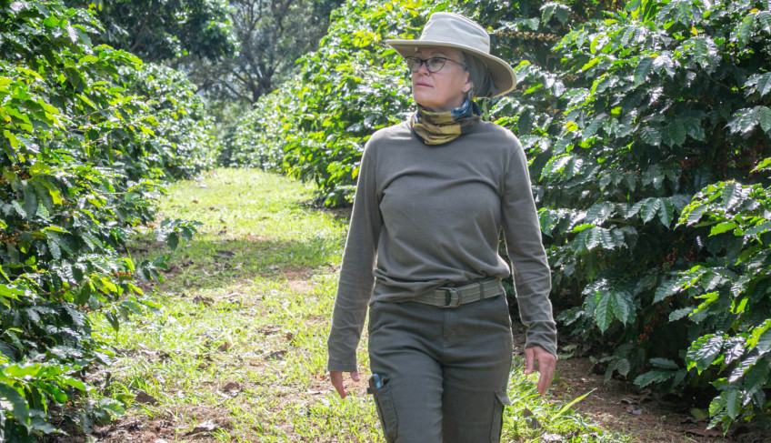 ASN Minas Gerais - Agência Sebrae de Notícias