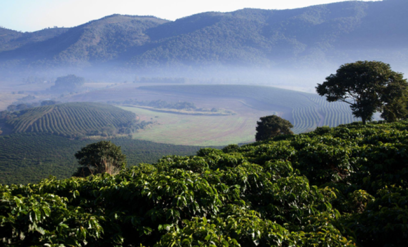 ASN Minas Gerais - Agência Sebrae de Notícias