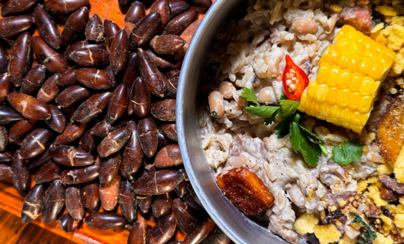 ASN Minas Gerais - Agência Sebrae de Notícias