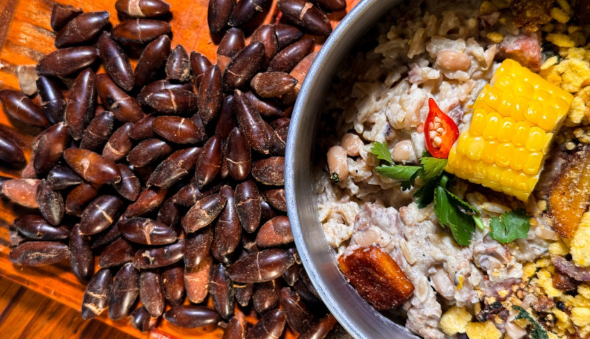 ASN Minas Gerais - Agência Sebrae de Notícias