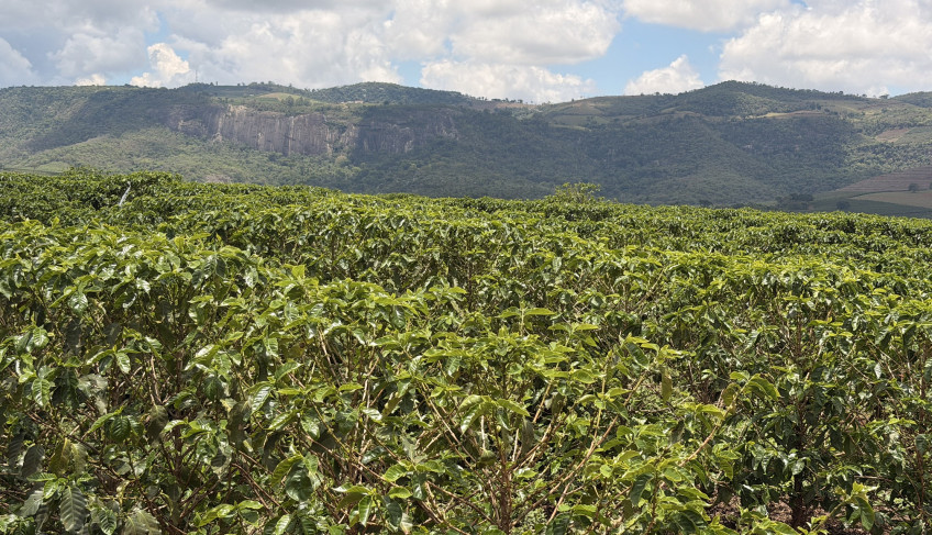 ASN Minas Gerais - Agência Sebrae de Notícias