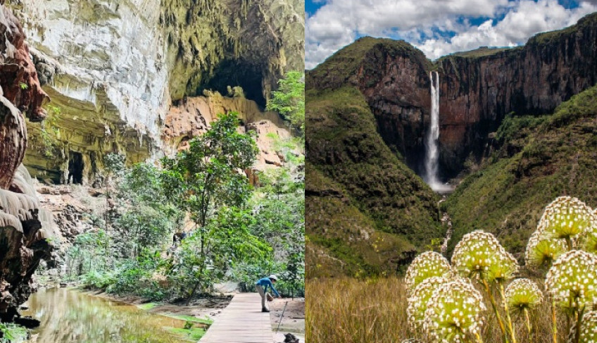 ASN Minas Gerais - Agência Sebrae de Notícias