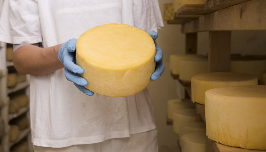 ASN Minas Gerais - Agência Sebrae de Notícias