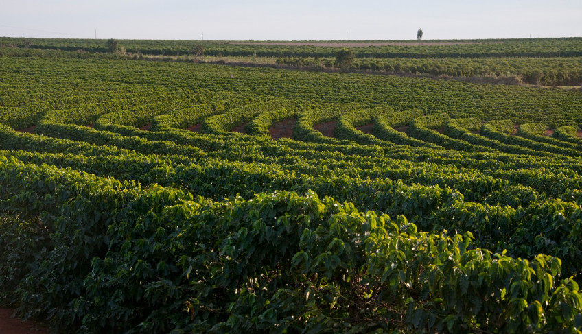 ASN Minas Gerais - Agência Sebrae de Notícias
