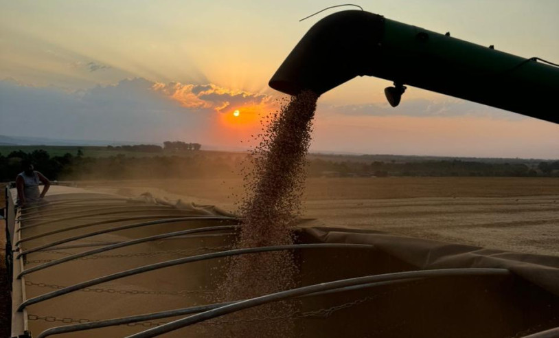 ASN Minas Gerais - Agência Sebrae de Notícias