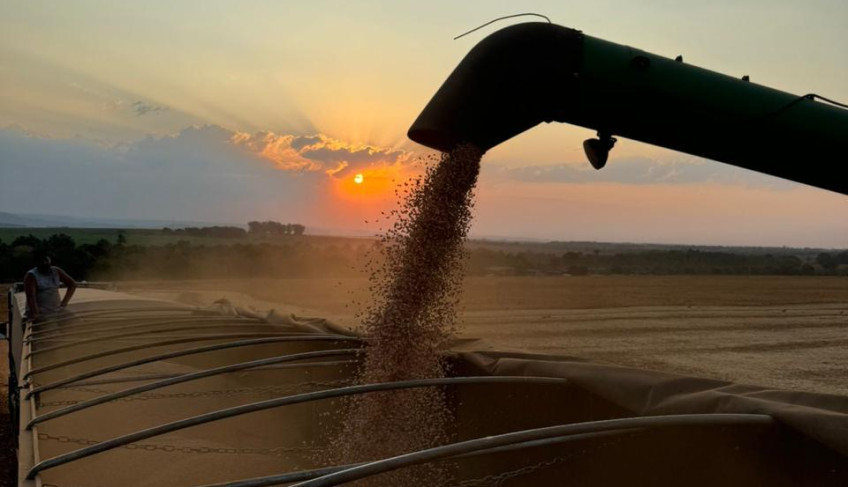 ASN Minas Gerais - Agência Sebrae de Notícias