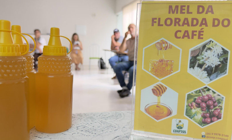 ASN Minas Gerais - Agência Sebrae de Notícias