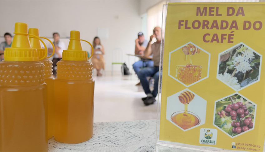 ASN Minas Gerais - Agência Sebrae de Notícias