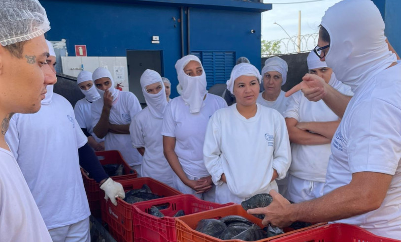 ASN Minas Gerais - Agência Sebrae de Notícias