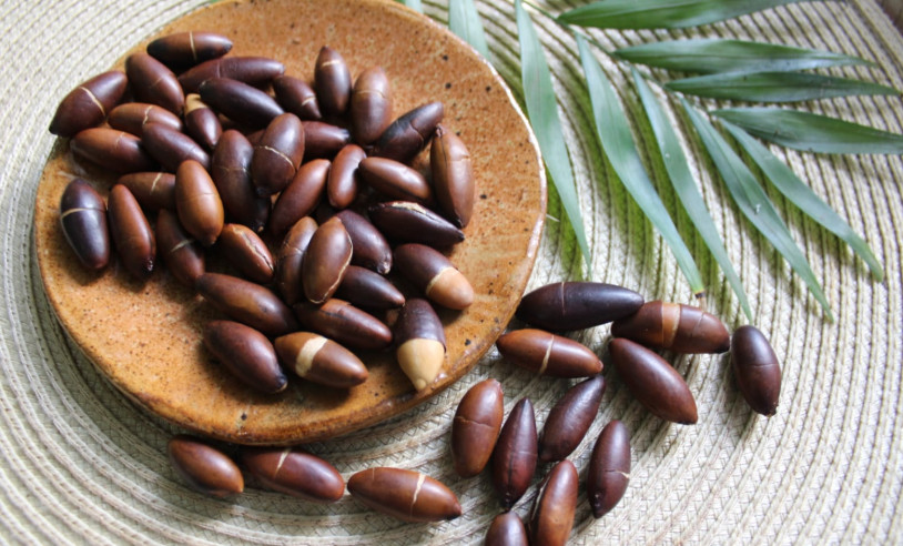 ASN Minas Gerais - Agência Sebrae de Notícias