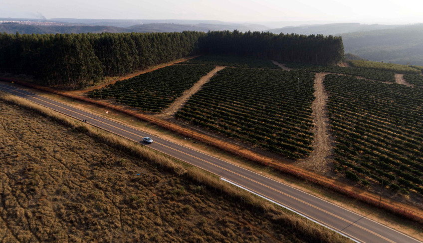ASN Minas Gerais - Agência Sebrae de Notícias