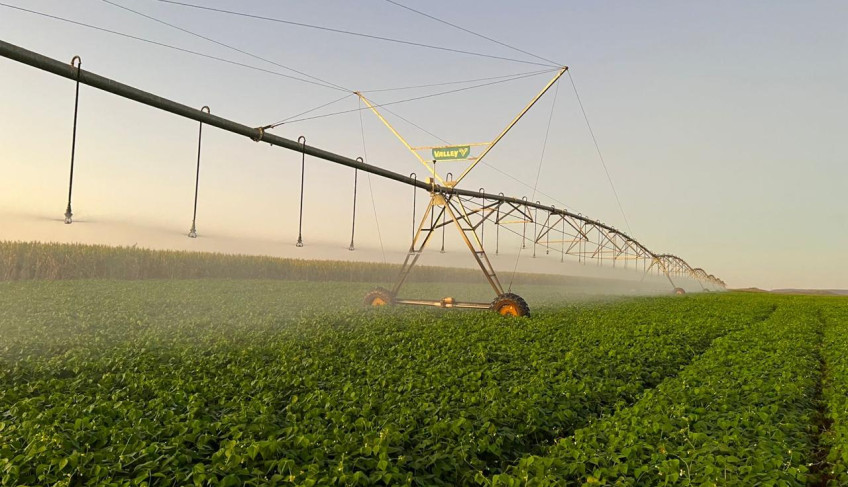 ASN Minas Gerais - Agência Sebrae de Notícias