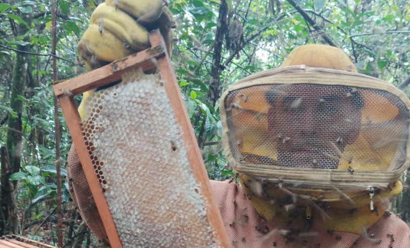 ASN Minas Gerais - Agência Sebrae de Notícias