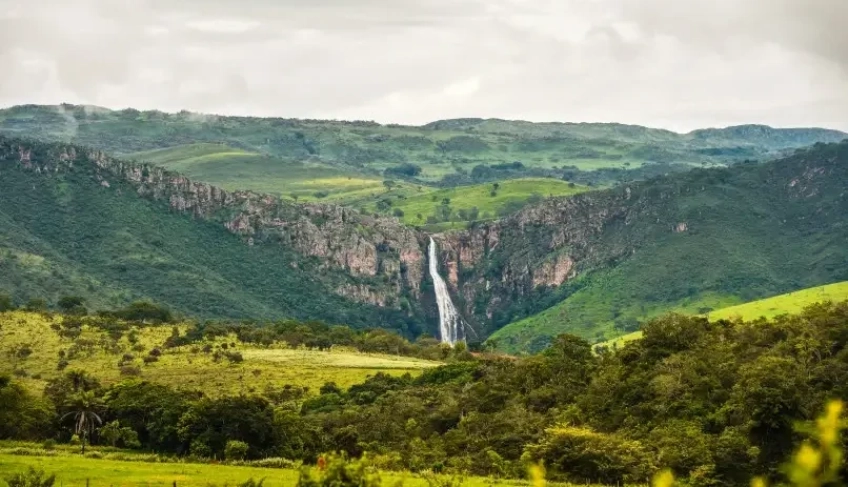 ASN Minas Gerais - Agência Sebrae de Notícias