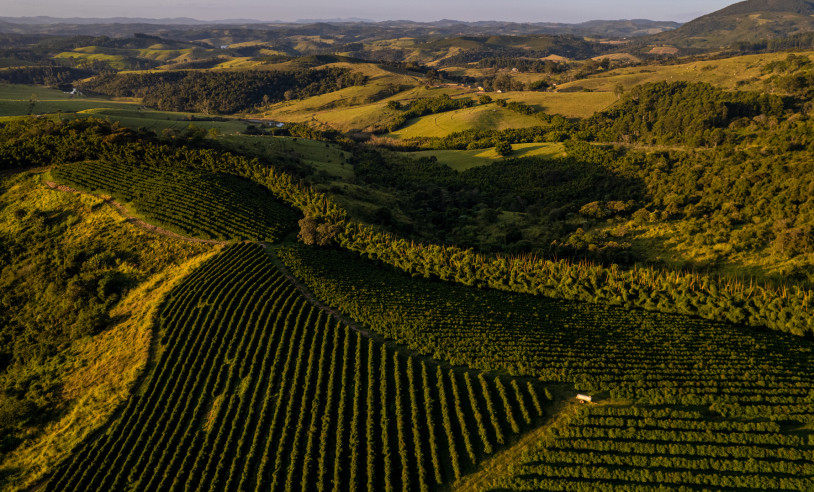 ASN Minas Gerais - Agência Sebrae de Notícias