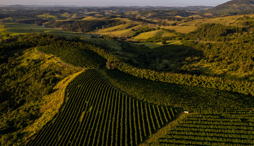 ASN Minas Gerais - Agência Sebrae de Notícias