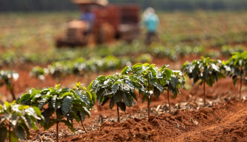 ASN Minas Gerais - Agência Sebrae de Notícias