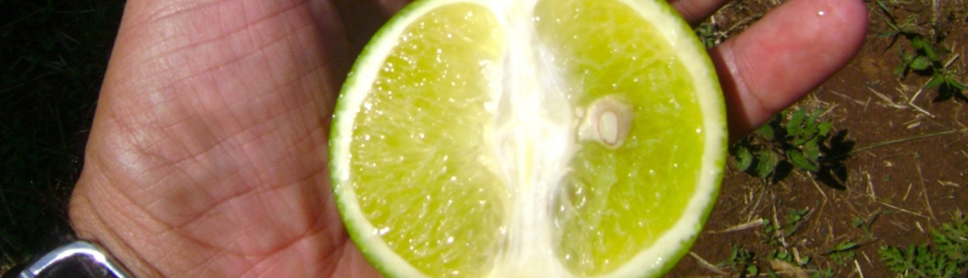 ASN Minas Gerais - Agência Sebrae de Notícias