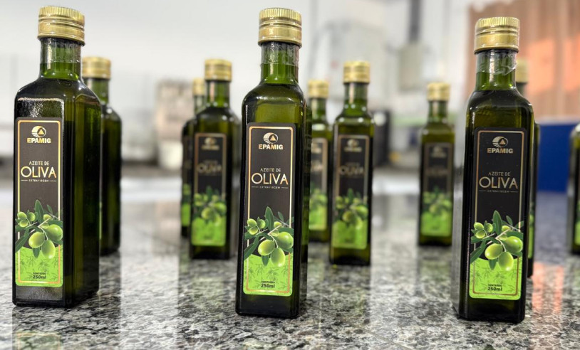 ASN Minas Gerais - Agência Sebrae de Notícias