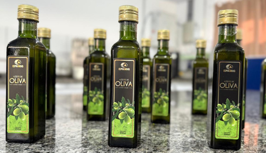 ASN Minas Gerais - Agência Sebrae de Notícias