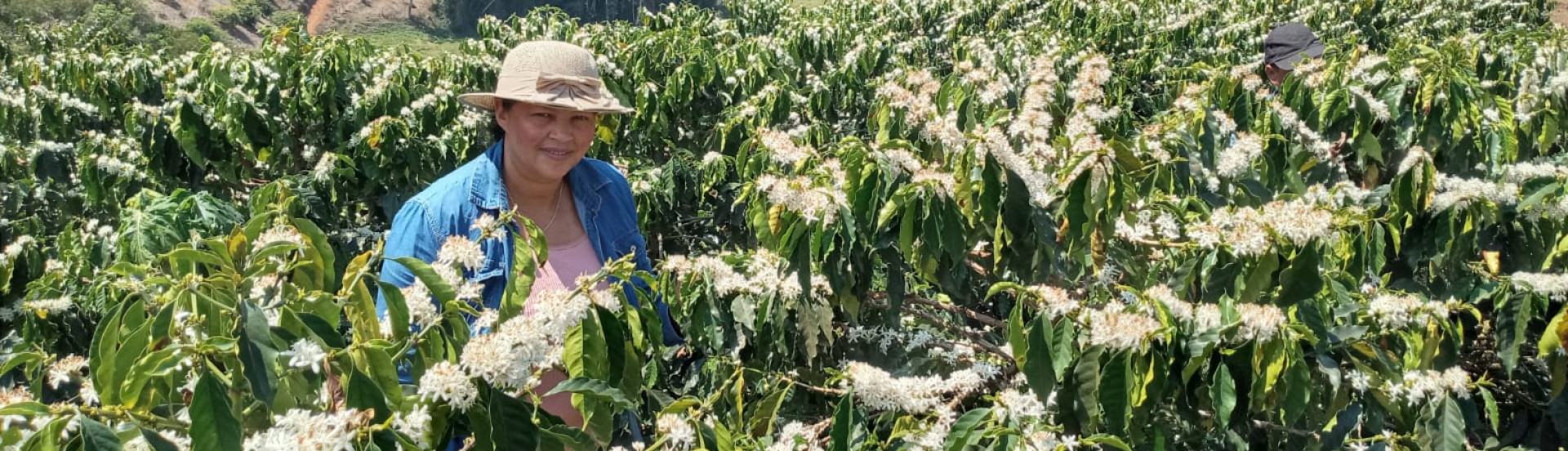 ASN Minas Gerais - Agência Sebrae de Notícias