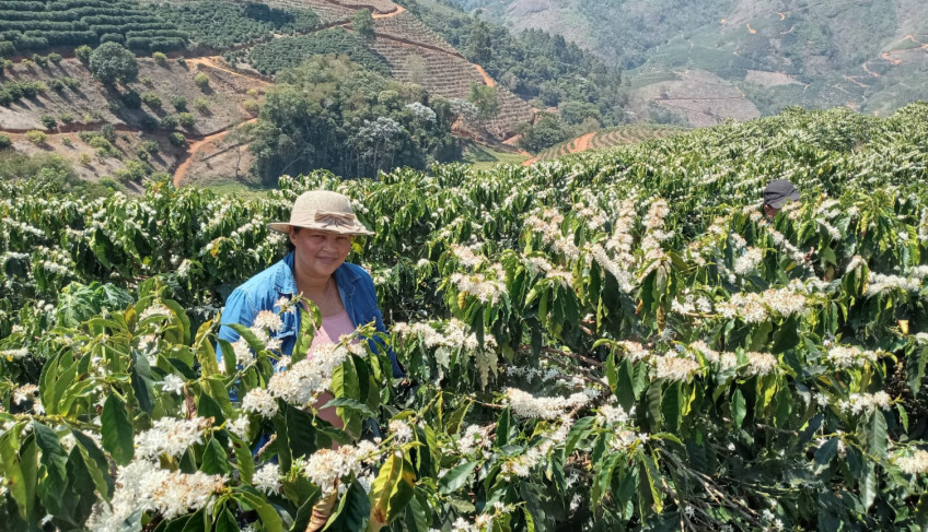 ASN Minas Gerais - Agência Sebrae de Notícias
