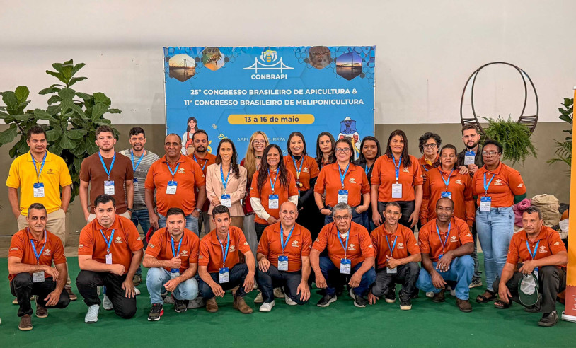 ASN Minas Gerais - Agência Sebrae de Notícias