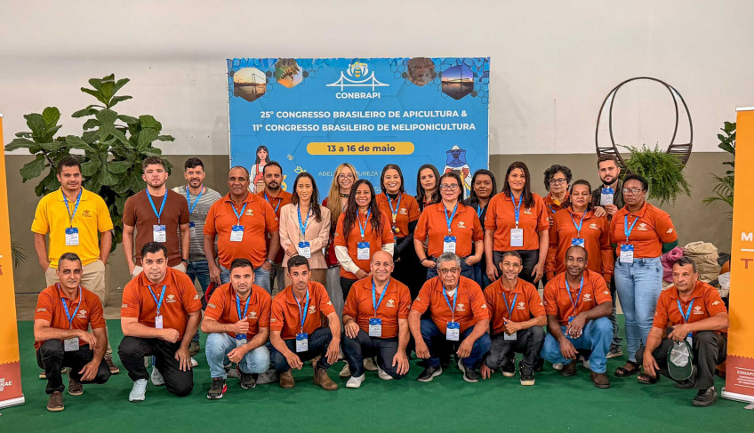 ASN Minas Gerais - Agência Sebrae de Notícias