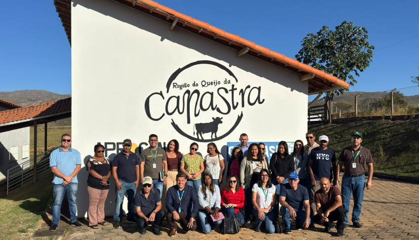ASN Minas Gerais - Agência Sebrae de Notícias