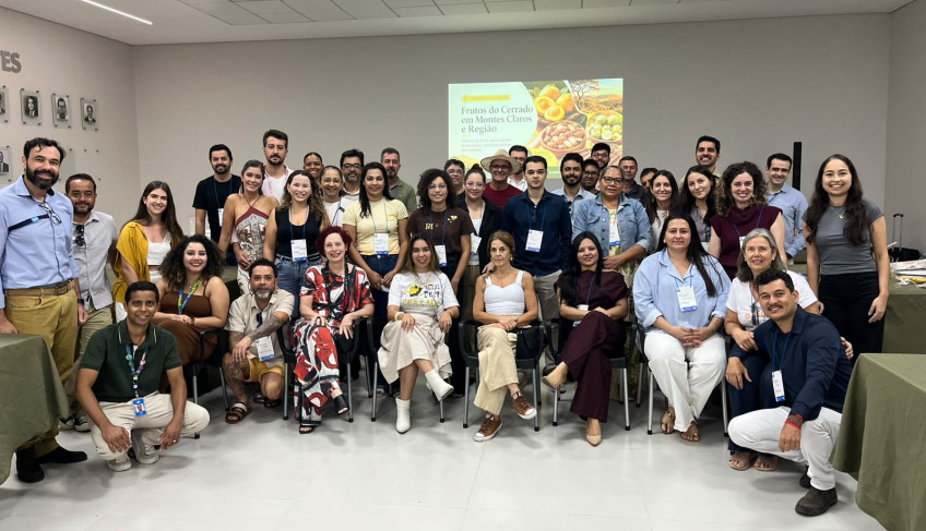 ASN Minas Gerais - Agência Sebrae de Notícias