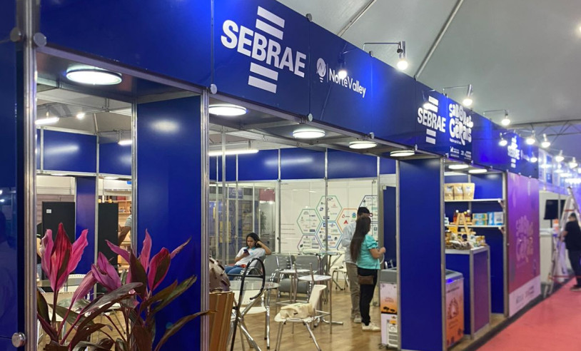 ASN Minas Gerais - Agência Sebrae de Notícias