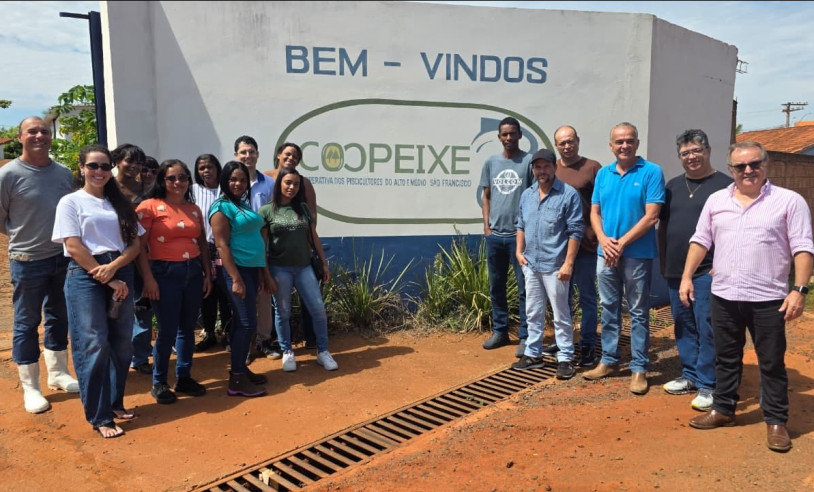 ASN Minas Gerais - Agência Sebrae de Notícias