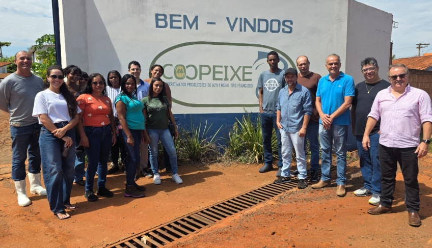 ASN Minas Gerais - Agência Sebrae de Notícias
